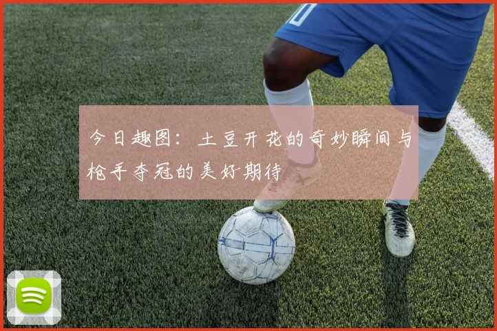今日趣图：土豆开花的奇妙瞬间与枪手夺冠的美好期待